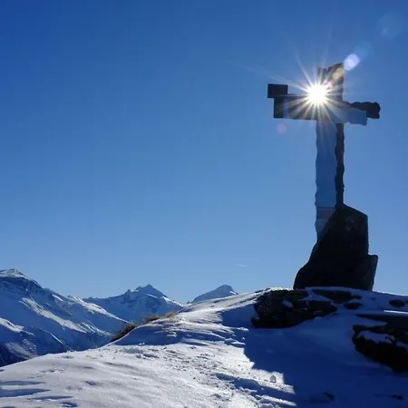 Family Schweng טוקס